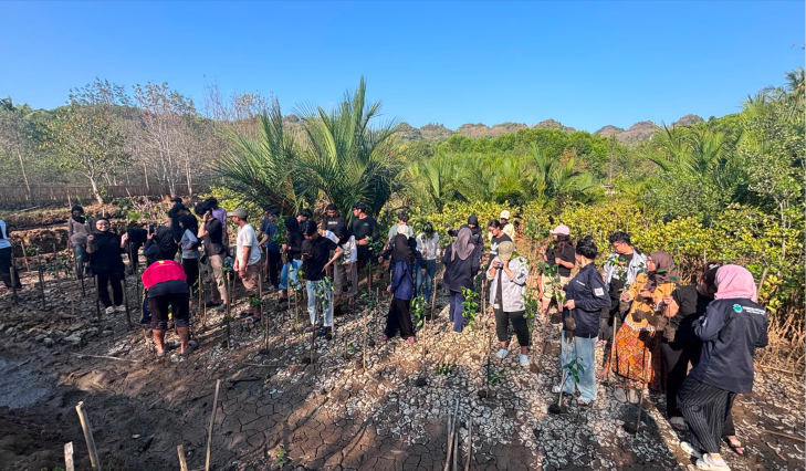 Pengabdian Masyarakat (Mangrove)