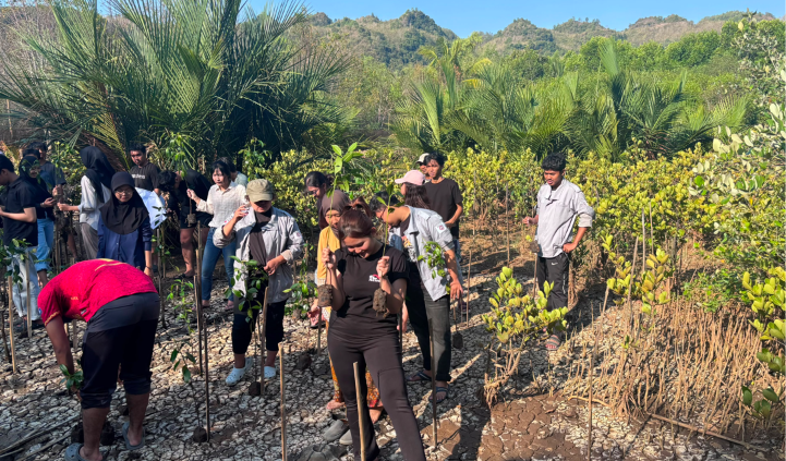 Pengabdian Masyarakat (Mangrove)